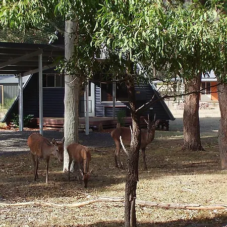 The A-Frame Villa Halls Gap Room photo